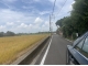 觀音三面路便宜田