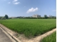 新屋近中山西路田