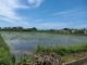 新屋北湖國小田